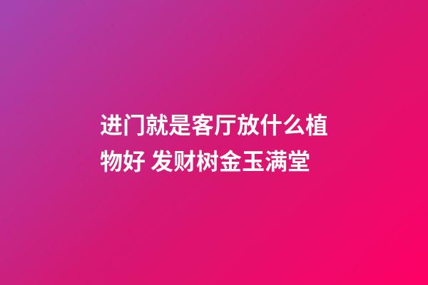 进门就是客厅放什么植物好 发财树金玉满堂